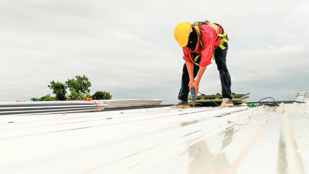 Best Hot Roofs  in Waterville, NY