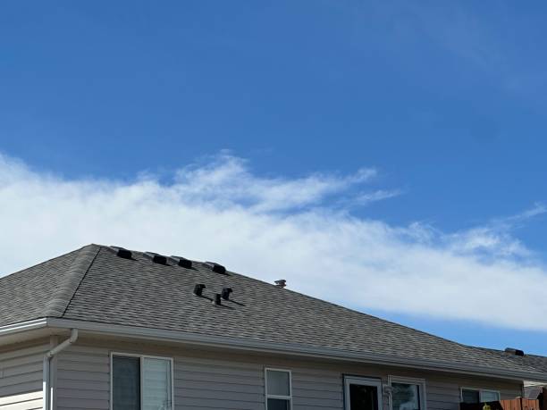 Best Roof Maintenance and Cleaning  in Waterville, NY
